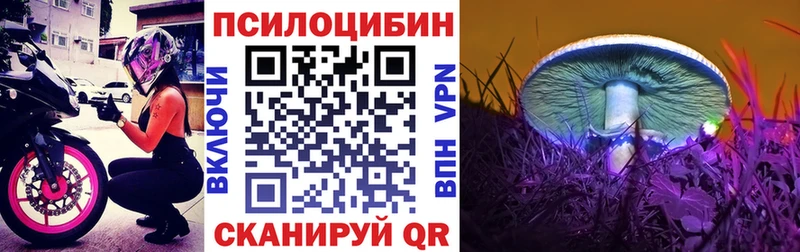 Псилоцибиновые грибы MAGIC MUSHROOMS Уржум