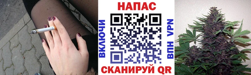 Бошки марихуана ГИДРОПОН  Уржум 